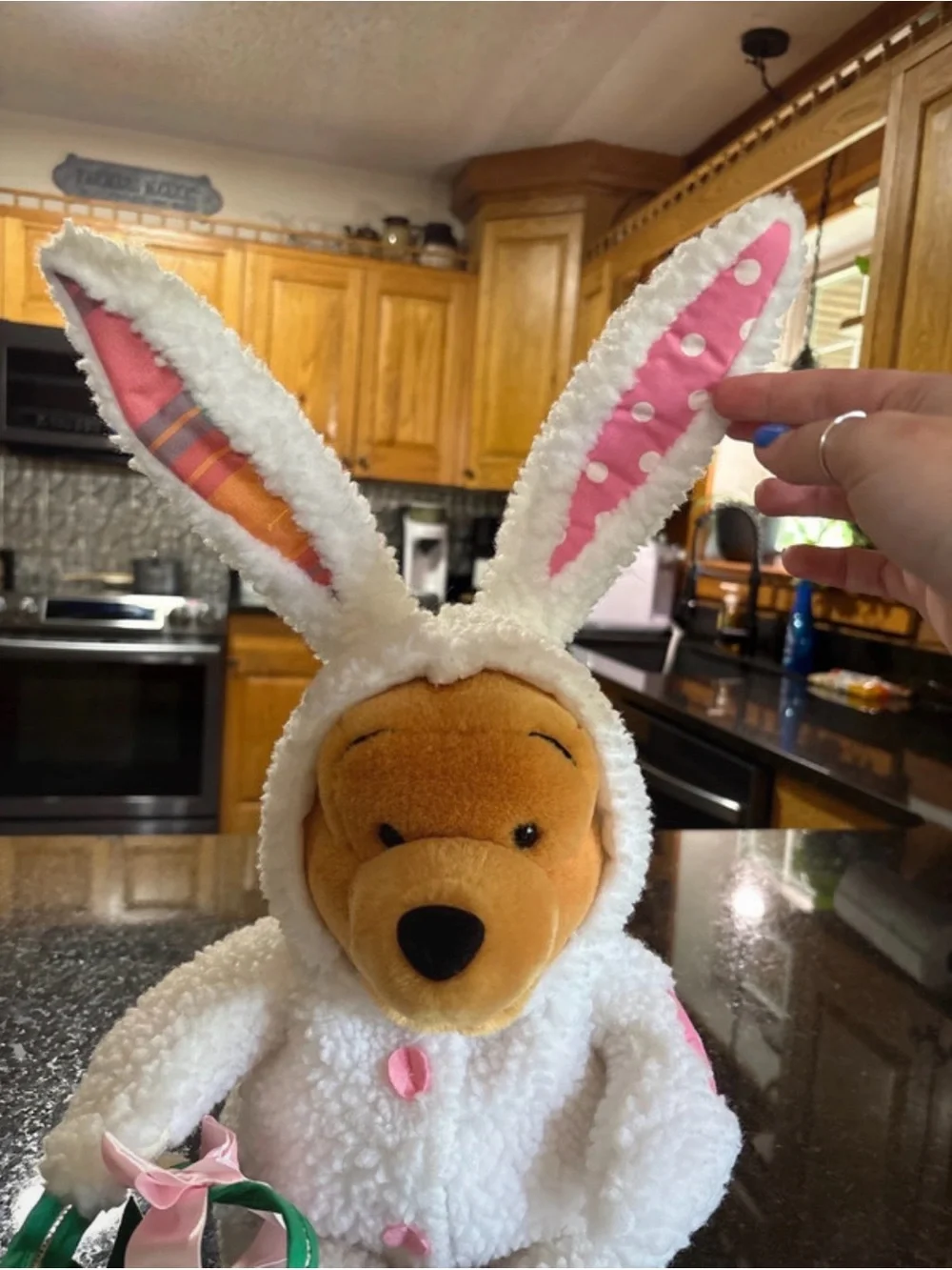 Disney Exclusive Winnie the Pooh Plush in Bunny Costume